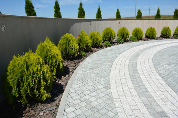 Professional Driveway Pavers in University Of Virginia, VA